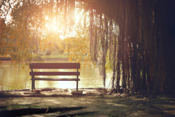 Lonely with chair
