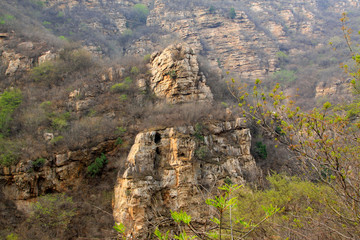 stone forest gorge scenery