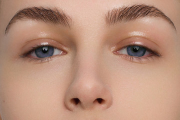 Close-up macro of beautiful female eye with perfect shape eyebrows. Clean skin, fashion naturel...