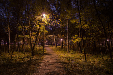 Mystical trail in the night forest in the park with glowing lanterns. Landscape of night park in the autumn.