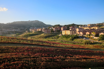 Fototapeta na wymiar Landschaft Sizilien