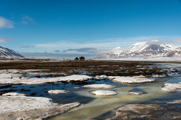 Longyearbyen, archipel du Spitzberg, Svalbard