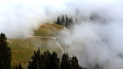 Kreuzung im Nebel