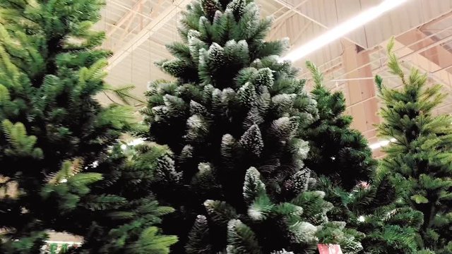 Chooses an artificial Christmas tree at store. Xmas decor - toys and tinsel for New Year at market. 