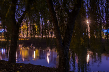 Night park with a pond in autumn. Landscape with a glowing lanterns and tree branches.