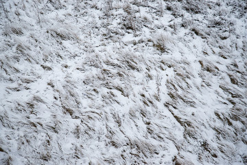 snow-covered field, from above
