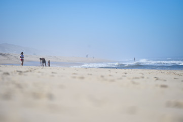 Sunny day scene at the beach on the shoreline of Atlantic Ocean