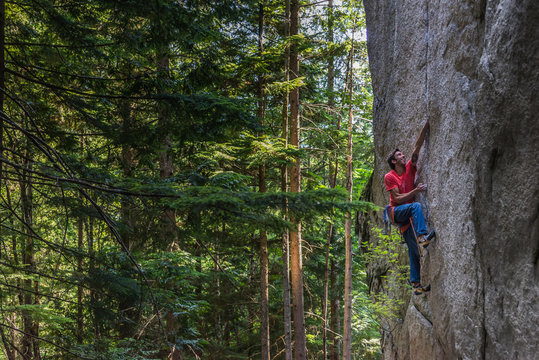 Rock climber scaling rock face close to trees, Squamish, Canada