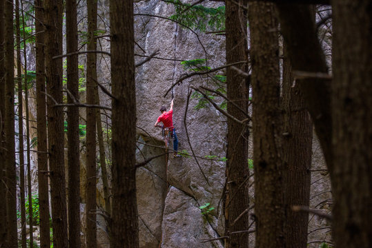 Rock climber scaling rock face close to trees, Squamish, Canada