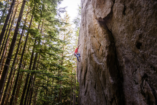 Rock climber scaling rock face close to trees, Squamish, Canada