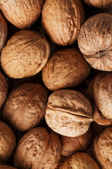 Natural Walnuts in shell background dramatic contrast