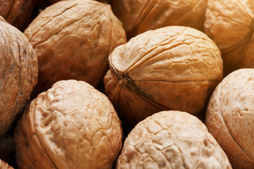 Natural Walnuts in shell background dramatic contrast