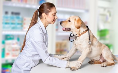 Young female vet with dog on light blurred background