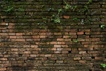 Old Background wall large texture.