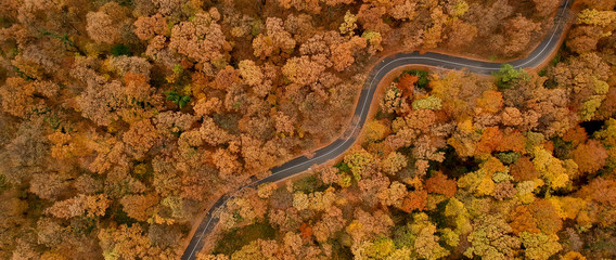 Aerial view at the road in autumn forest