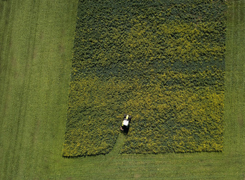 Overhead view of crops being harvested
