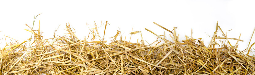 a bunch of straw as border, isolated with white background - obrazy, fototapety, plakaty