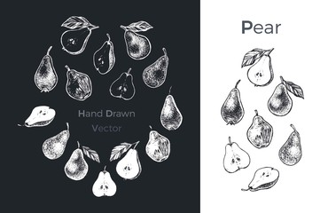 Hand drawn pear icons. Vector illustration