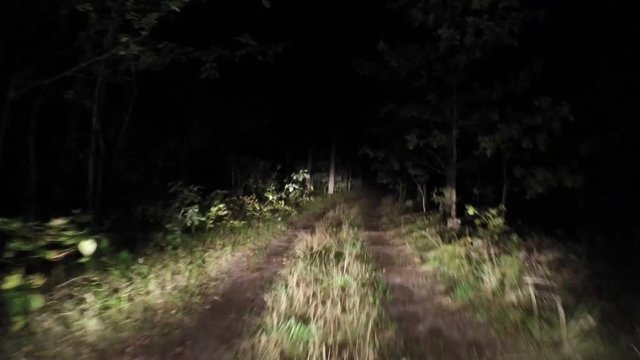 Night forest road Riding at night. 14