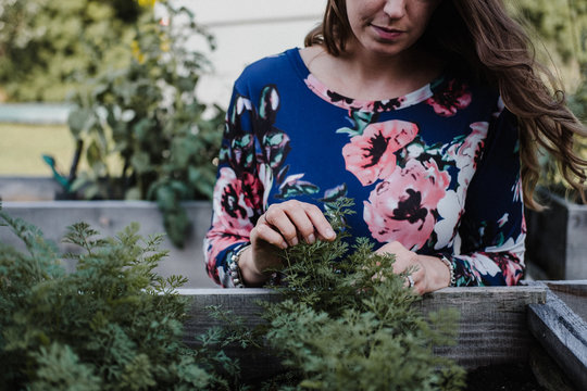 Woman checking on her plants