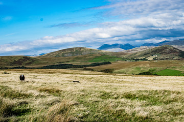 Lake District Landscape