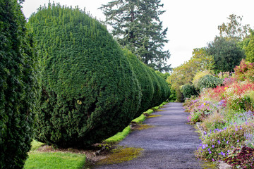 Shrub garden