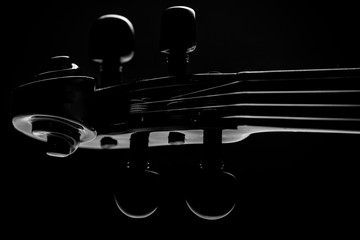  neck violin close up on a black background