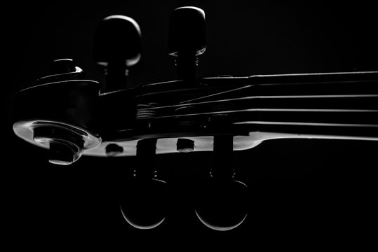  neck violin close up on a black background