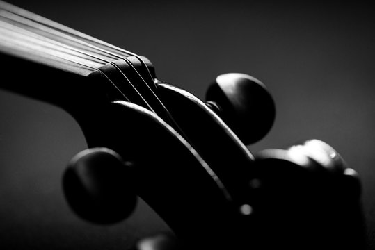  neck violin close up on a black background
