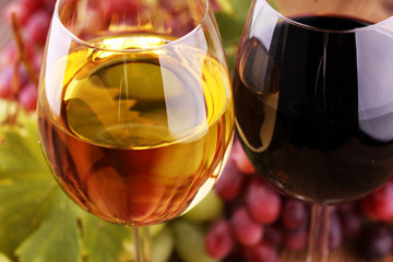 White wine and red wine in a glass with fall grapes on rustic background.