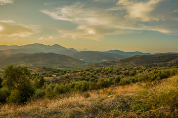 Fototapeta premium nature landscape high valley view of meadow and trees park outdoor and gardens with mountains horizon background silhouette far from here in evening sunset time with soft colors