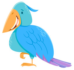 funny colorful bird cartoon character