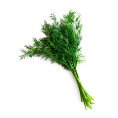 Dill isolated on white background.