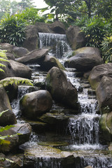 waterfall in the forest