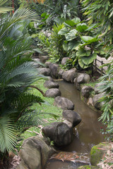 spring in the forest