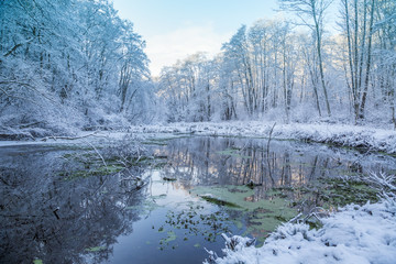 Landscape in Wintertime