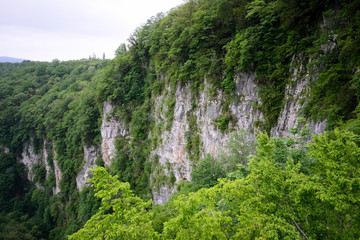 amazing green vertical rock wall of Martvili Canyon
