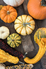 Harvest or Thanksgiving still life of ornamental gourds and pumpkins on an old steamer trunk