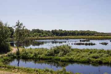 Moorlandschaft