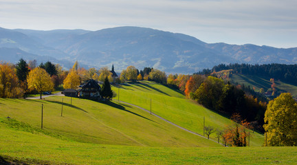 Obraz premium Auf dem Lindenberg nahe St. Peter im Schwarzwald