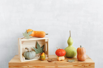 Different multicolored decorative pumpkins, lagenaria or bottle gourd, dry autumn leaves and wooden...