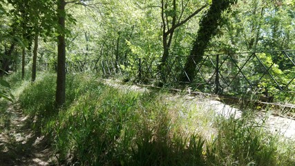 Jardín de la Isla, Aranjuez