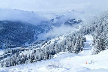 Alpine landscape of ski and snowboard slopes through pine trees going down to winter resort of Flaine, Grand Massif, Alps, France , with low clouds in the valley . - 232345852