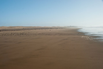 szeroka plaża
