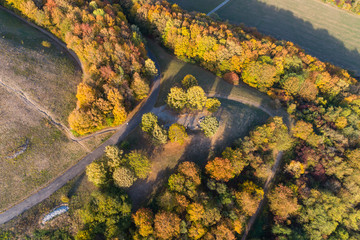 Luftaufnahme eines bunt gefärbten Mischwaldes im Herbst