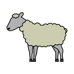Obraz na płótnie Canvas sheep cartoon animal wild life