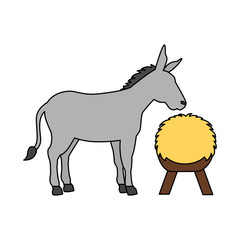 donkey and hay on white background