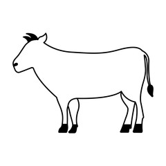 cow cartoon animal wild life