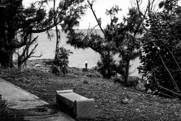 Coast in Black and White in Taiwan