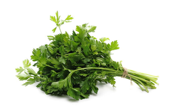 Fresh green parsley leaves isolated on white background 